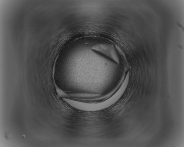 X0000091851153200709191050