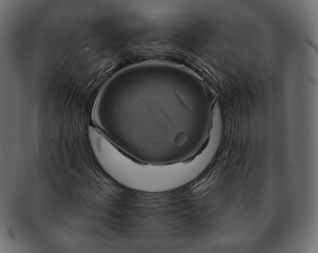X0000091851156200709191050