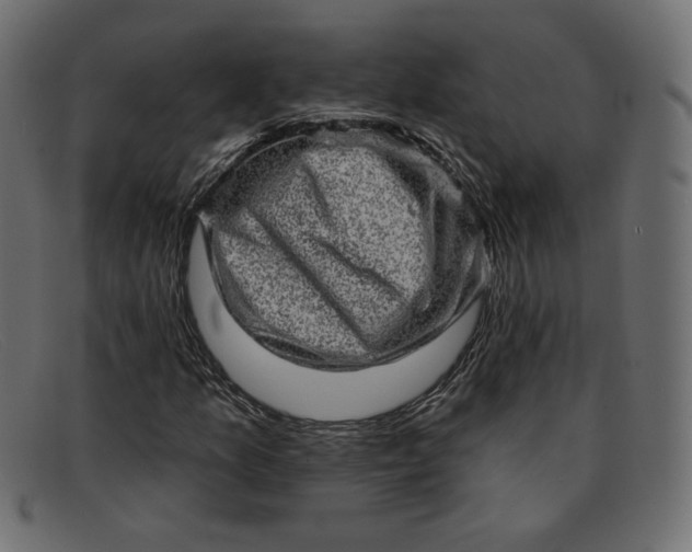 X0000091851157200709191050