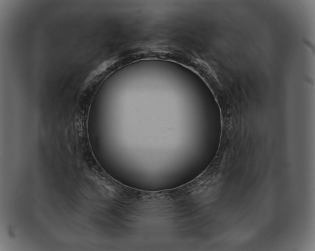 X0000091851159200709191050