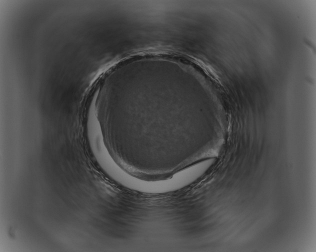 X0000091851160200709191050