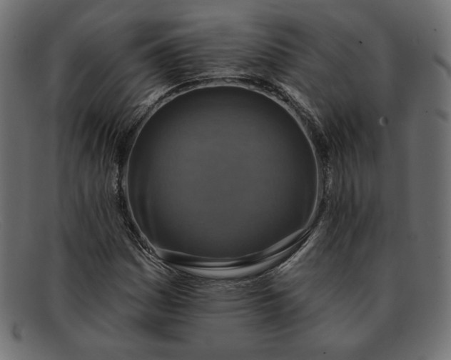 X0000091851161200709191050