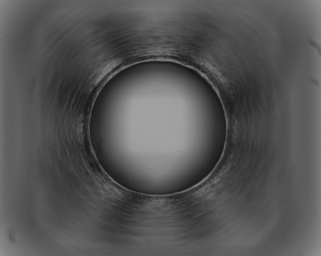 X0000091851162200709191050