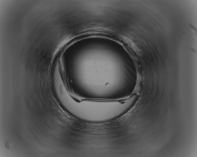 X0000091851164200709191050