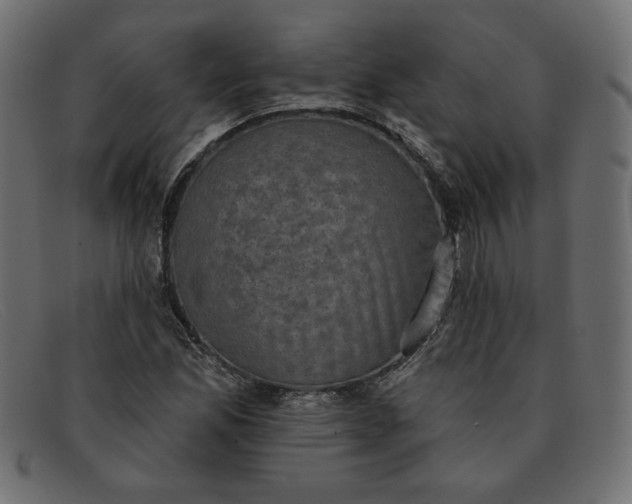X0000091851165200709191050