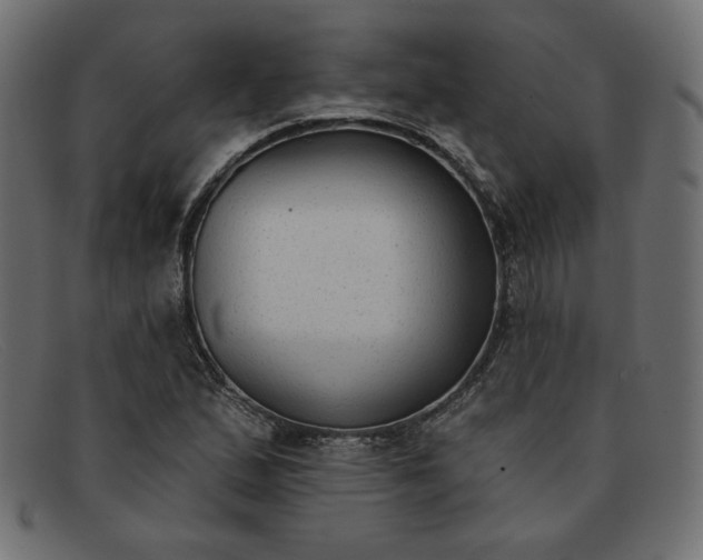 X0000091851167200709191050