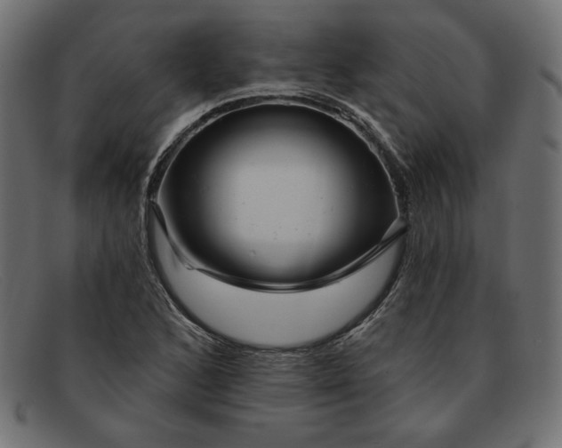 X0000091851168200709191050