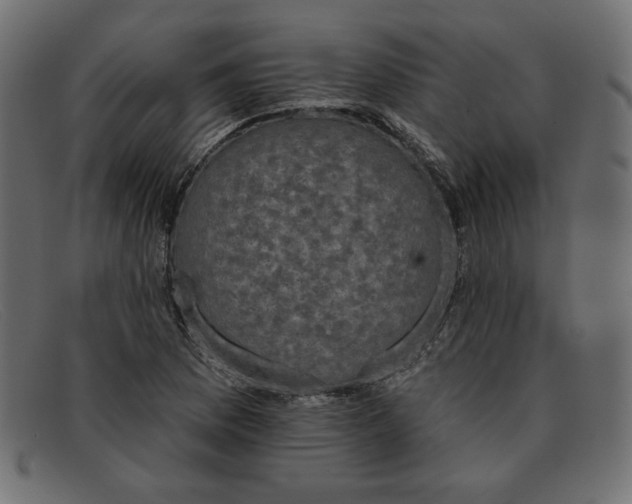 X0000091851169200709191050