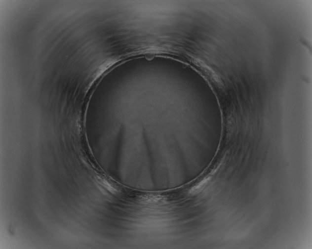X0000091851170200709191050