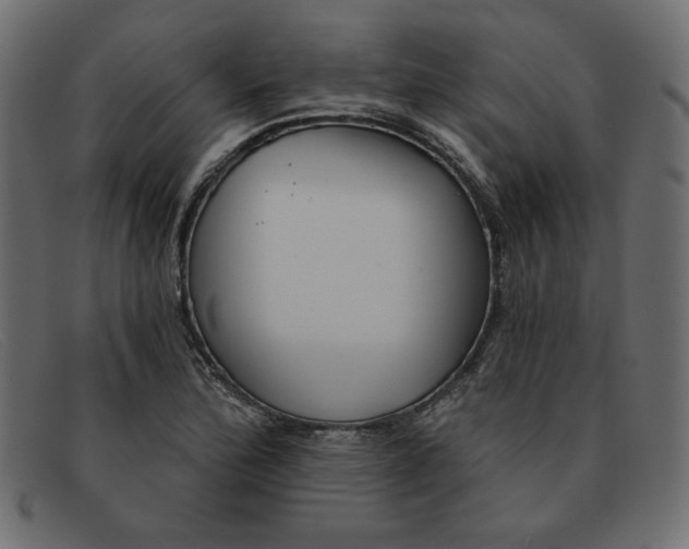 X0000091851172200709191050