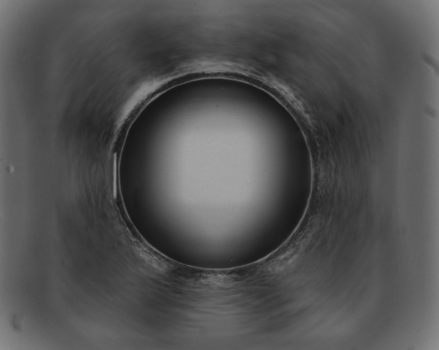 X0000091851175200709191050