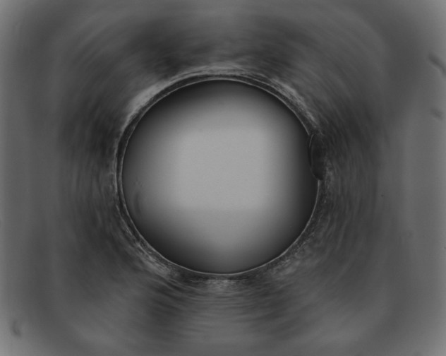 X0000091851176200709191050
