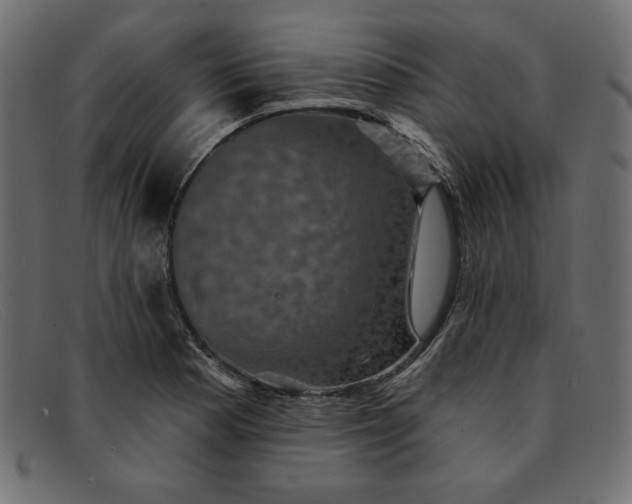 X0000091851177200709191050