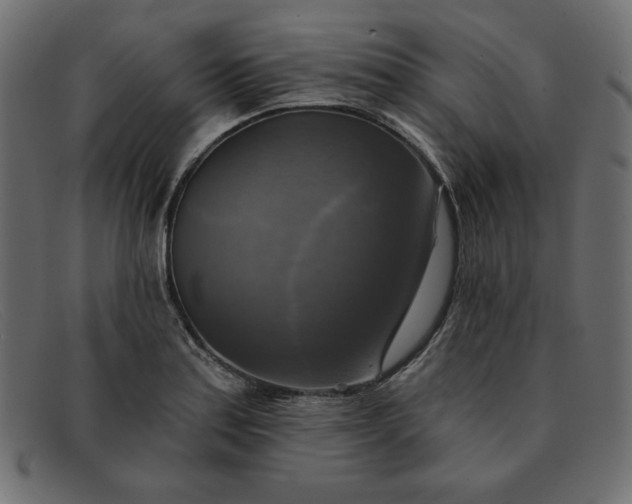 X0000091851179200709191050