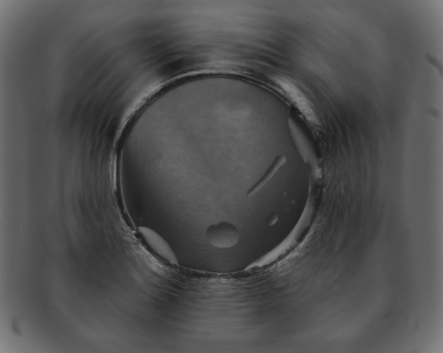 X0000091851180200709191050