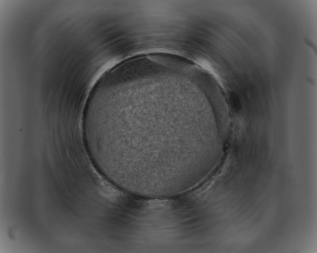 X0000091851181200709191050