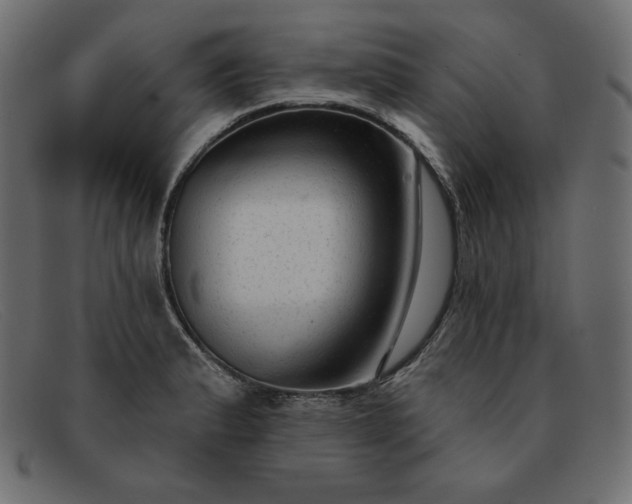 X0000091851183200709191050