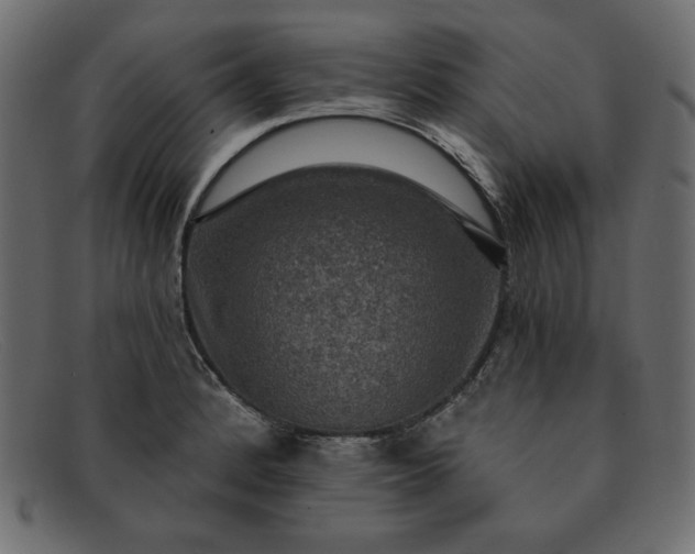 X0000091851184200709191050