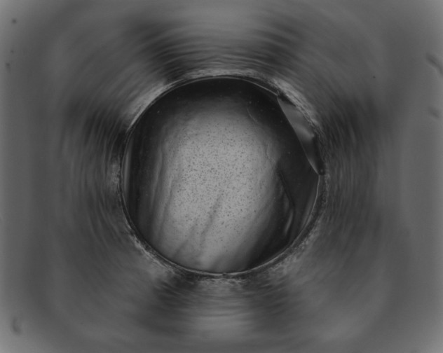 X0000091851185200709191050
