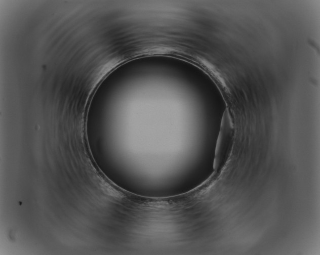 X0000091851186200709191050