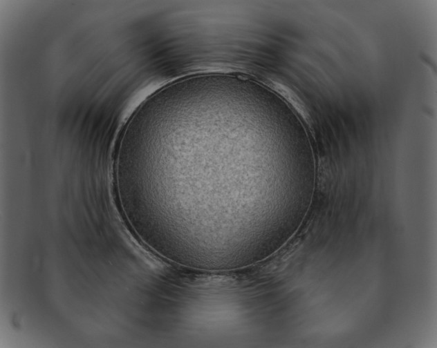X0000091851187200709191050