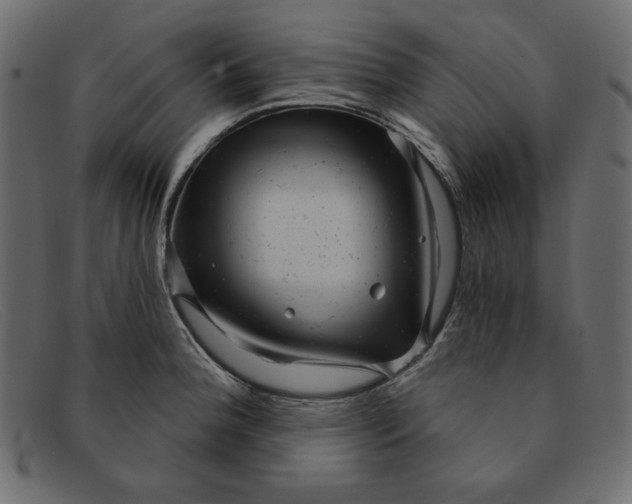 X0000091851188200709191050