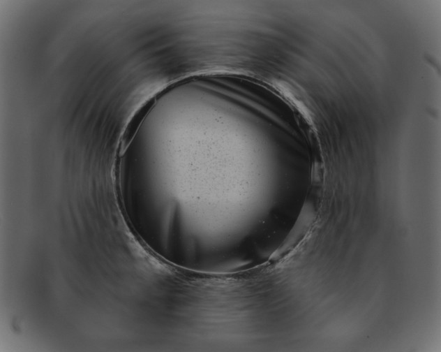 X0000091851189200709191050