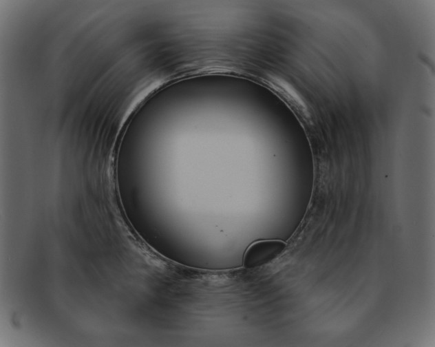 X0000091851190200709191050
