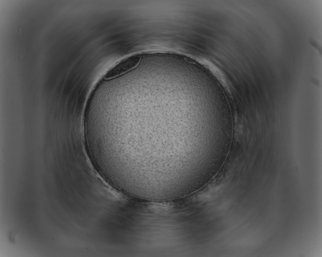X0000091851191200709191050