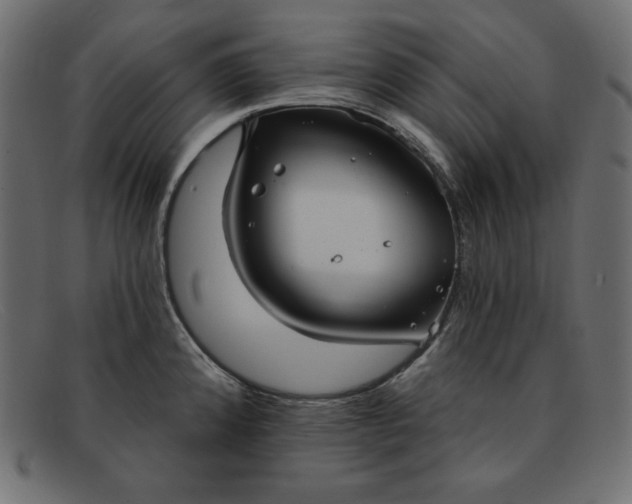 X0000091851192200709191050