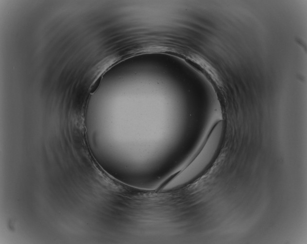X0000091851193200709191050