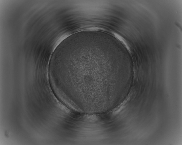 X0000091851194200709191050