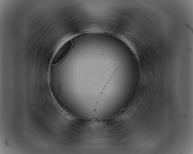 X0000091851195200709191050