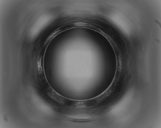 X0000091851198200709191050