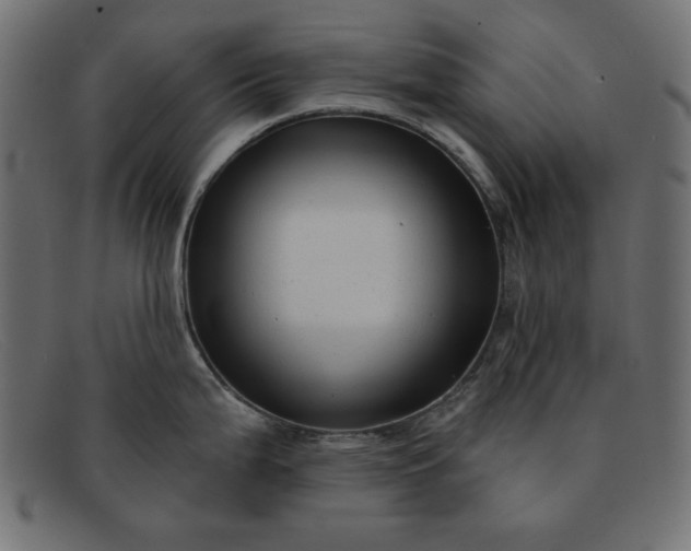 X0000091851199200709191050