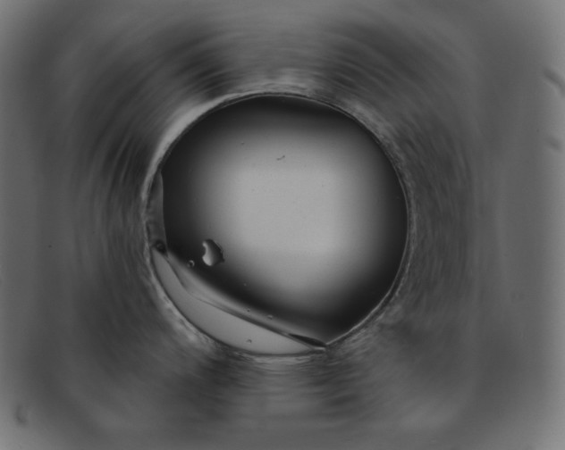 X0000091851200200709191050