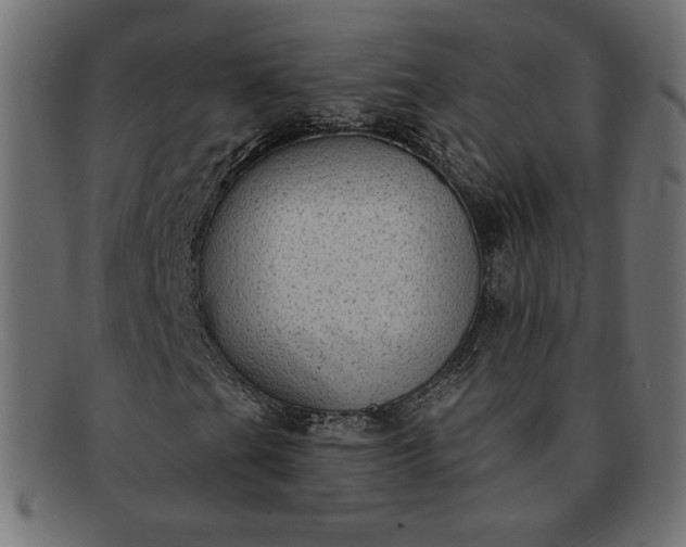 X0000091851201200709191049