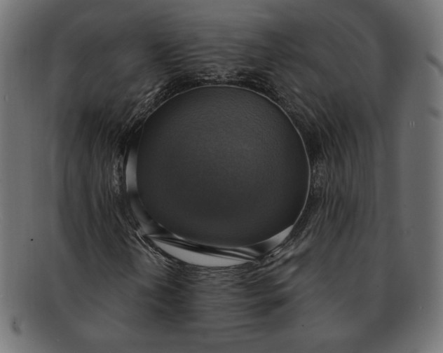 X0000091851202200709191049