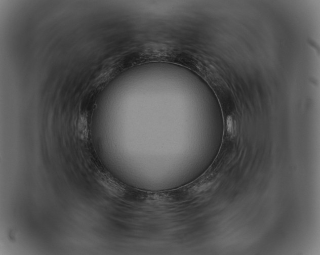 X0000091851203200709191049