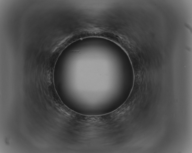 X0000091851205200709191049