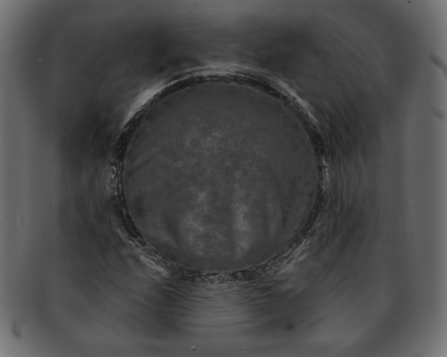 X0000091851208200709191049