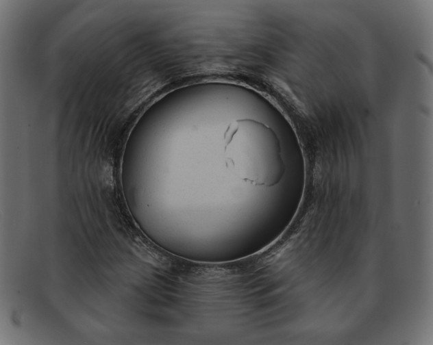 X0000091851209200709191049