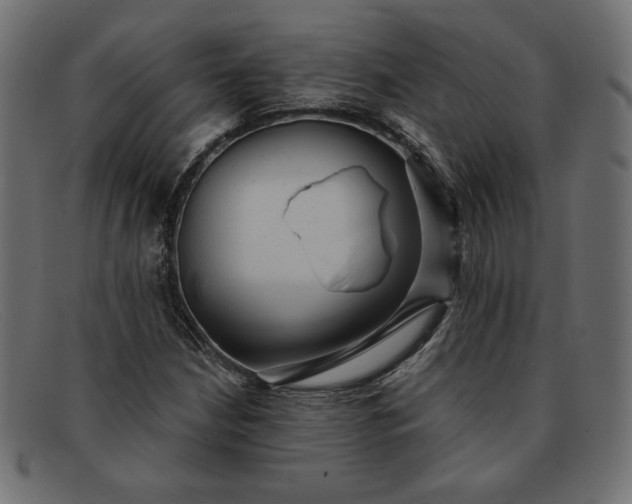 X0000091851210200709191049