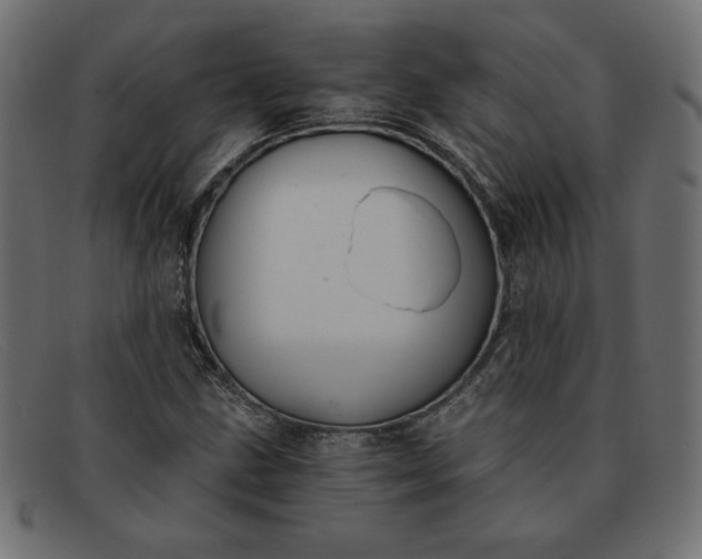 X0000091851211200709191049