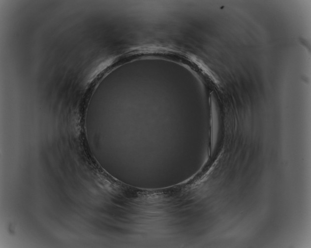 X0000091851213200709191049