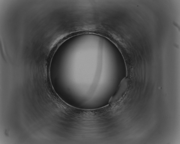 X0000091851214200709191049