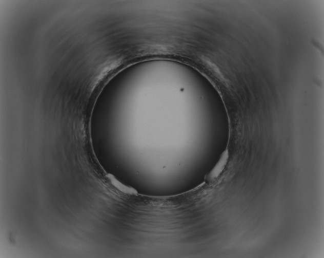 X0000091851218200709191049