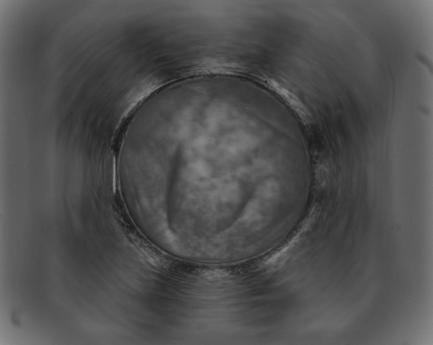 X0000091851219200709191049