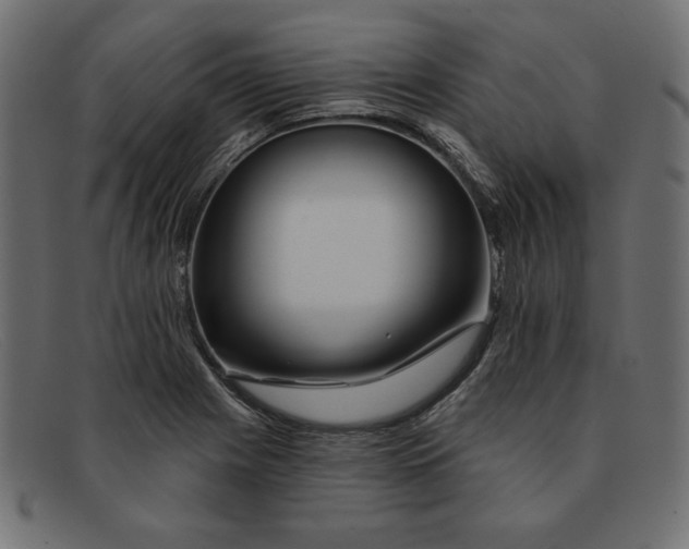 X0000091851225200709191049