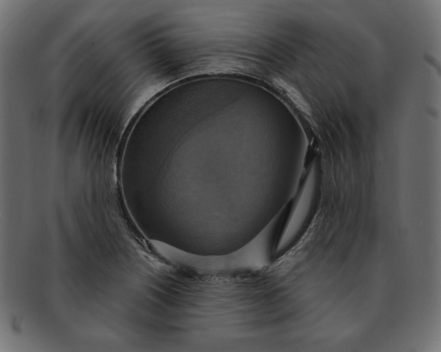 X0000091851226200709191049